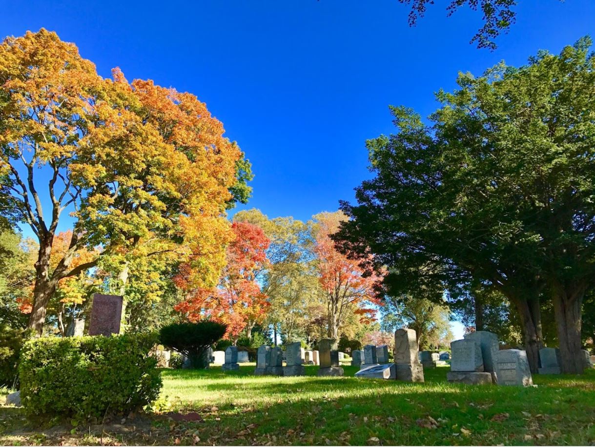 Flushing Cemetery Wellwood Memorials