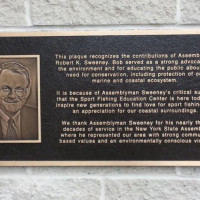 Bronza Plaques - Sweeney