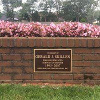 Bronza Plaques - Skillen